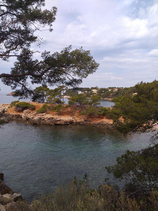 Joli Studio Res Au Calme En Rez De Jardin A Bandol. Kültér fotó